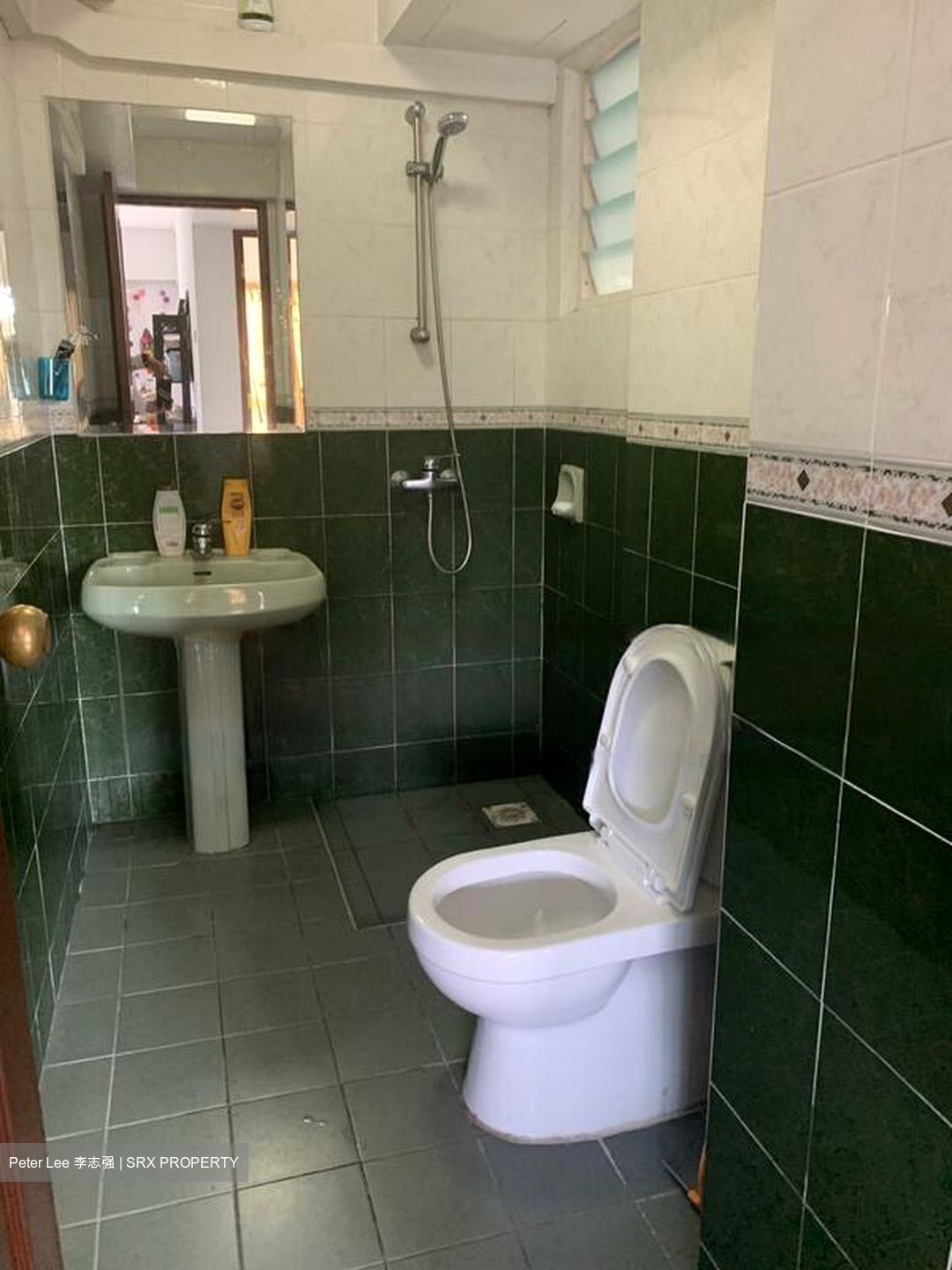 Melville Park (D18), Condominium #480107121